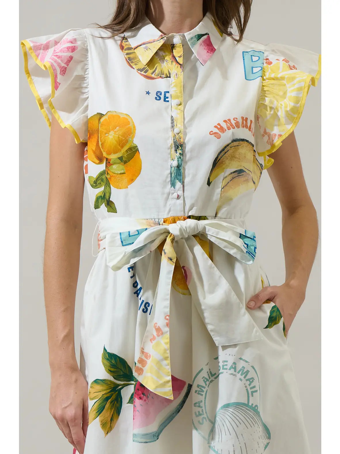 Elena Postcard Ruffle Collared Mini Dress